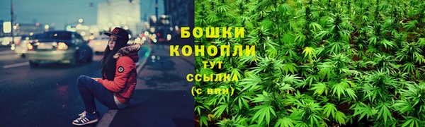 гидропоника Переславль-Залесский