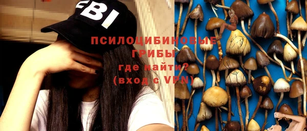 не бодяженный Пересвет