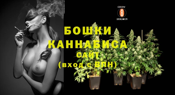 не бодяженный Пересвет