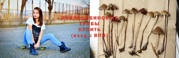 не бодяженный Пересвет